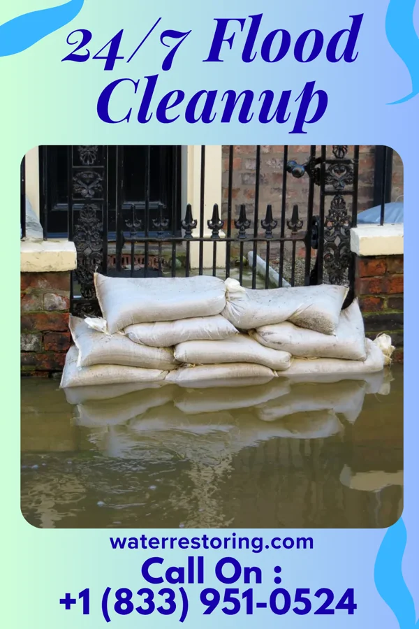 24/7 Flood Cleanup in Kingsbury, IN