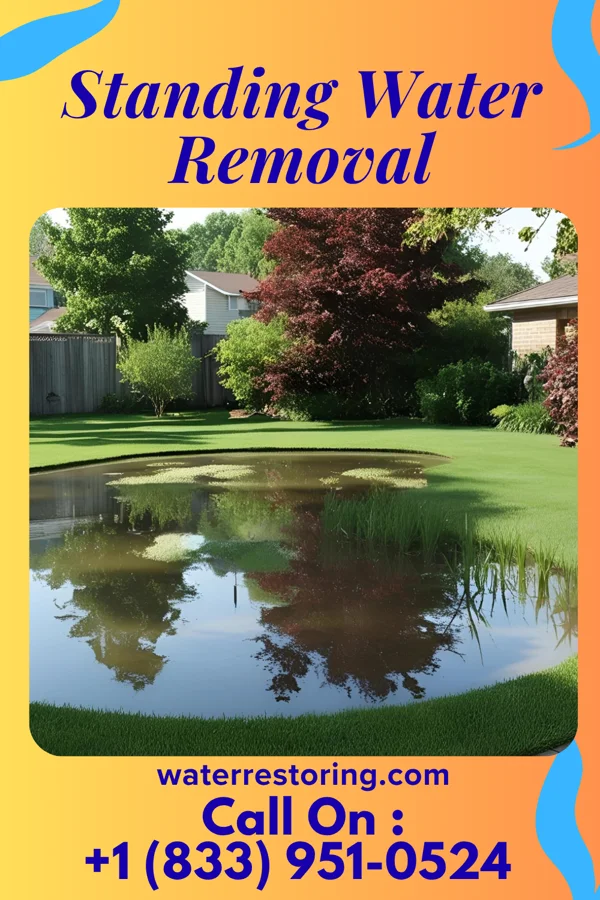 Standing Water Removal in Kingsbury, IN